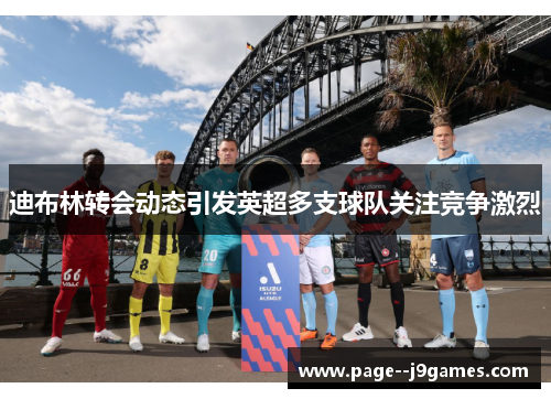 迪布林转会动态引发英超多支球队关注竞争激烈