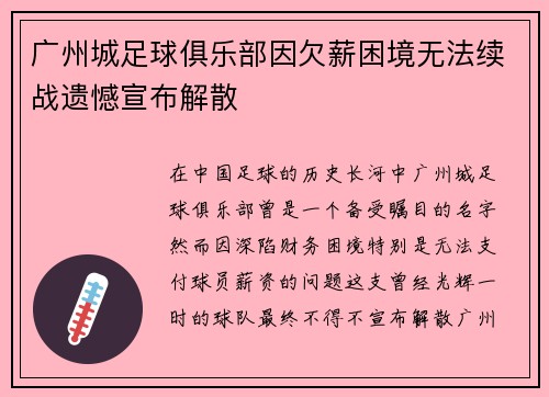 广州城足球俱乐部因欠薪困境无法续战遗憾宣布解散 广州城足球俱乐部因欠薪困境无法续战遗憾宣布解散
